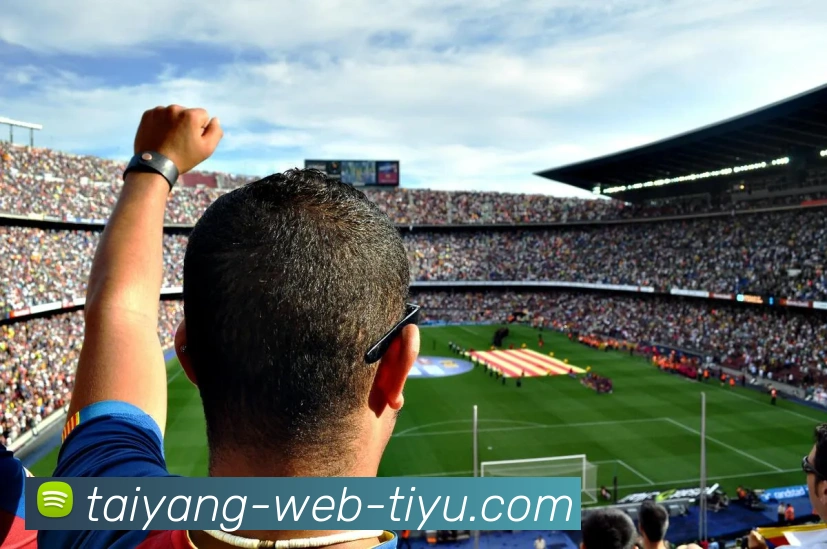 太阳城APP 体育赛事宣传图